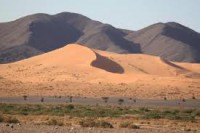 /album/gallery/a31-jpg1/