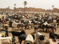 /album/gallery/a34-jpg1/