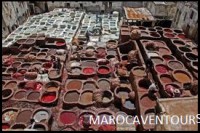 /album/gallery/a42a-jpg1/