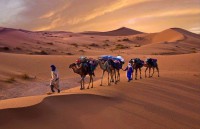 /album/gallery/a50-jpg/