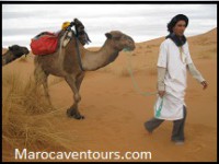 /album/gallery/a51a-jpg/