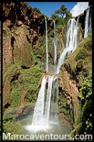 /album/gallery/a59a-jpg1/