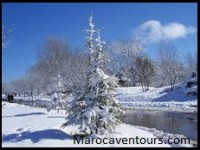 /album/gallery/a65a-jpg/